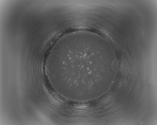 X0000067460643200604101134