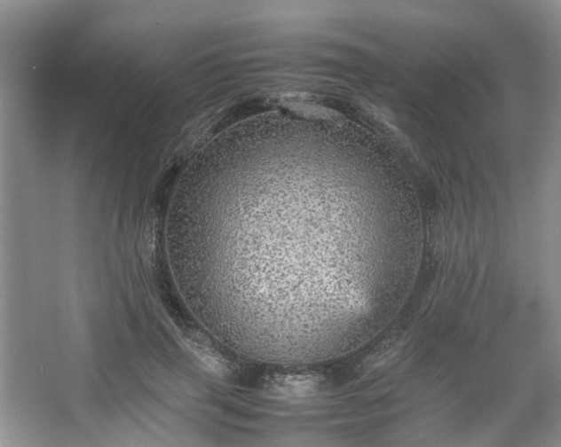 X0000067460645200604101134