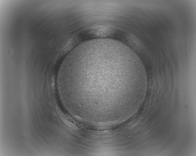 X0000067460646200604101134