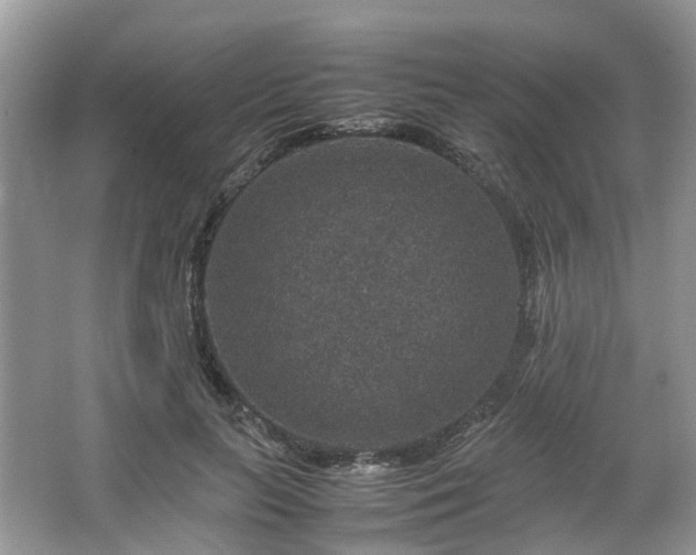 X0000067460647200604101134