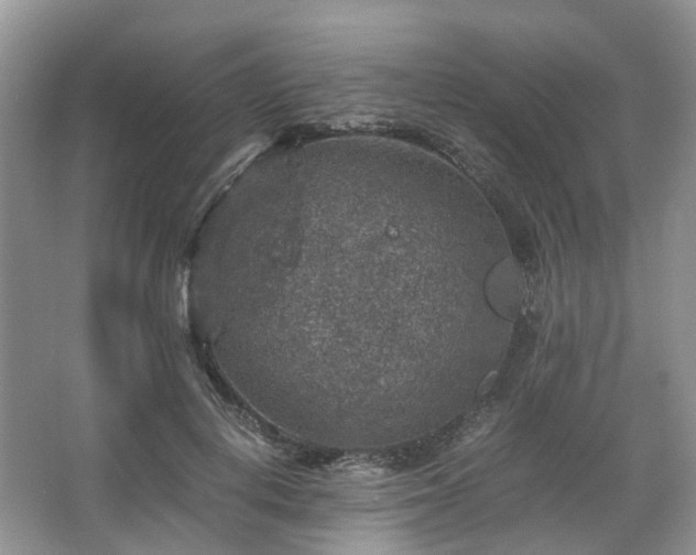 X0000067460648200604101134