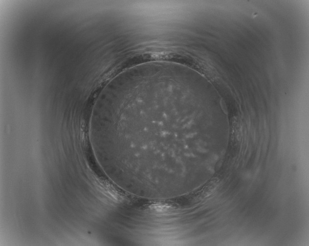 X0000067460650200604101134