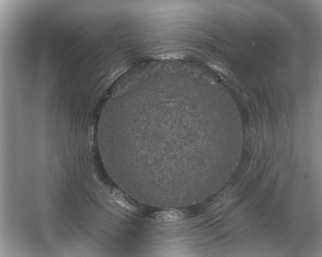 X0000067460652200604101134