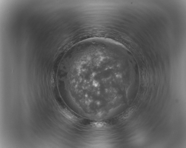 X0000067460654200604101134