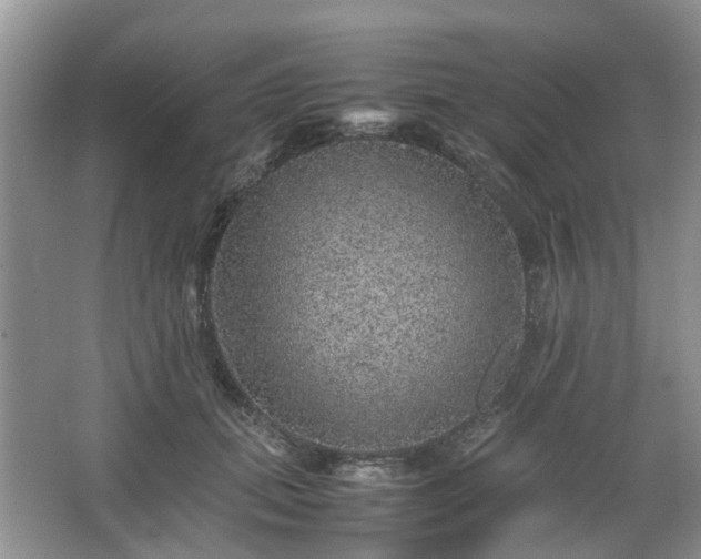 X0000067460655200604101134