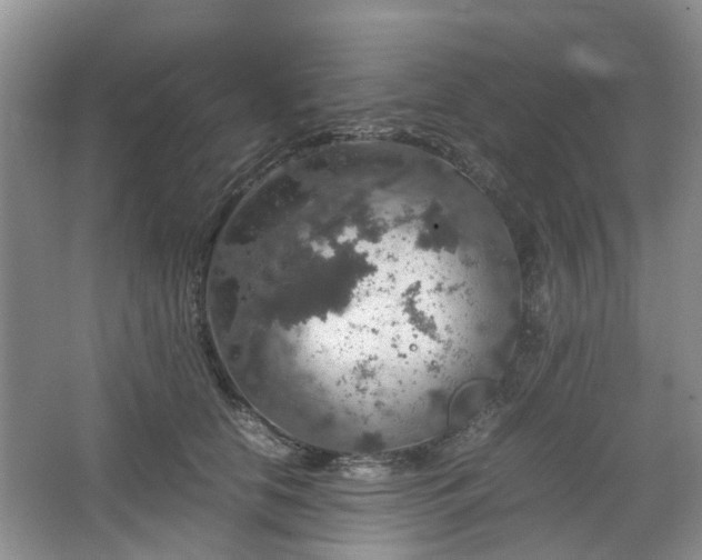 X0000067460658200604101134