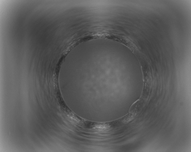 X0000067460659200604101134