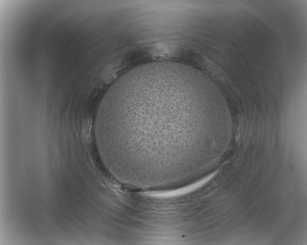 X0000067460660200604101134