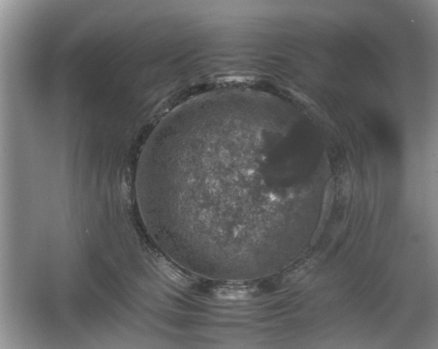 X0000067460661200604101134