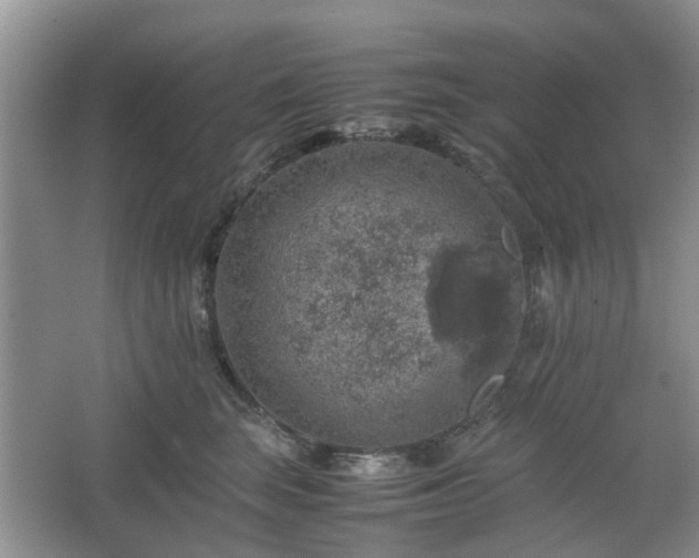 X0000067460663200604101134