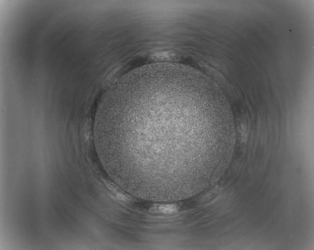 X0000067460665200604101134