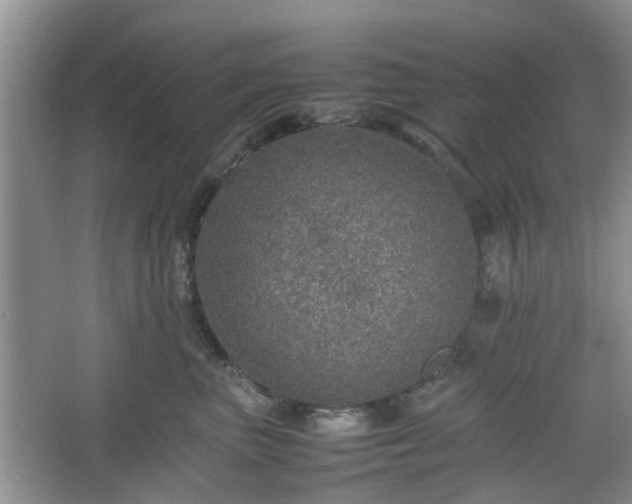 X0000067460667200604101134