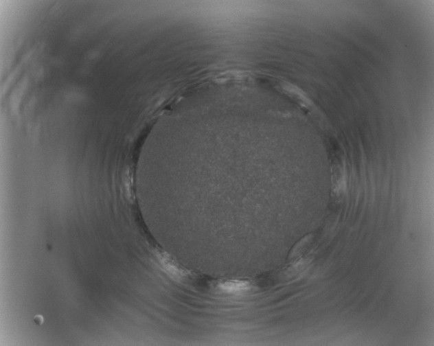 X0000067460669200604101134