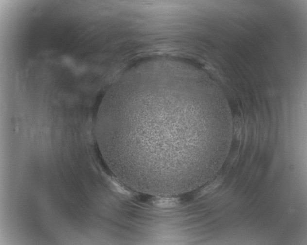 X0000067460670200604101134