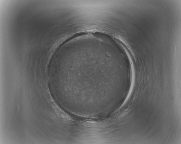 X0000067460673200604101134