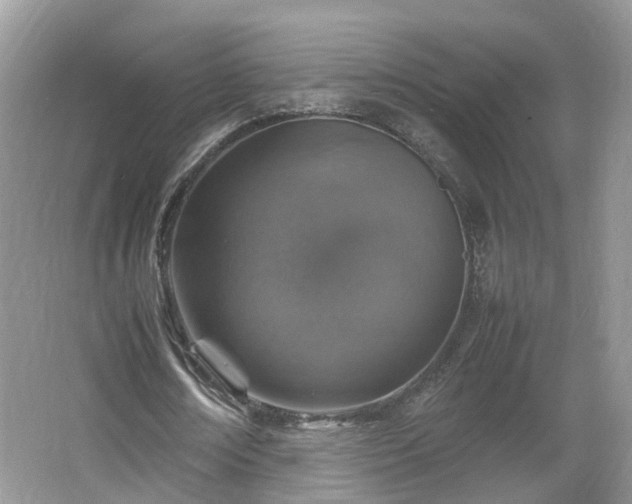 X0000067460674200604101134