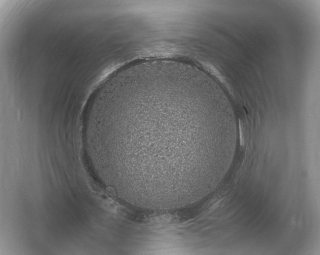 X0000067460675200604101133