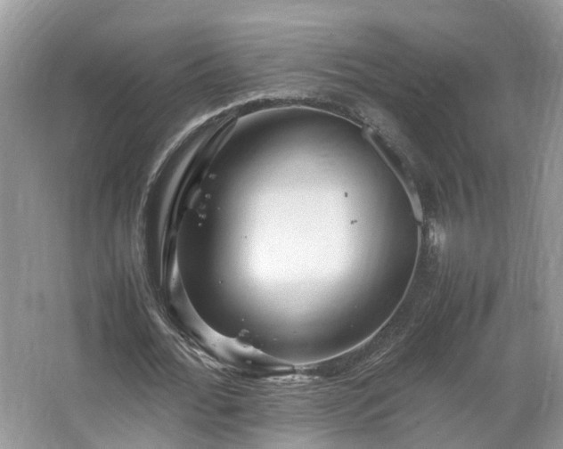 X0000067460676200604101133