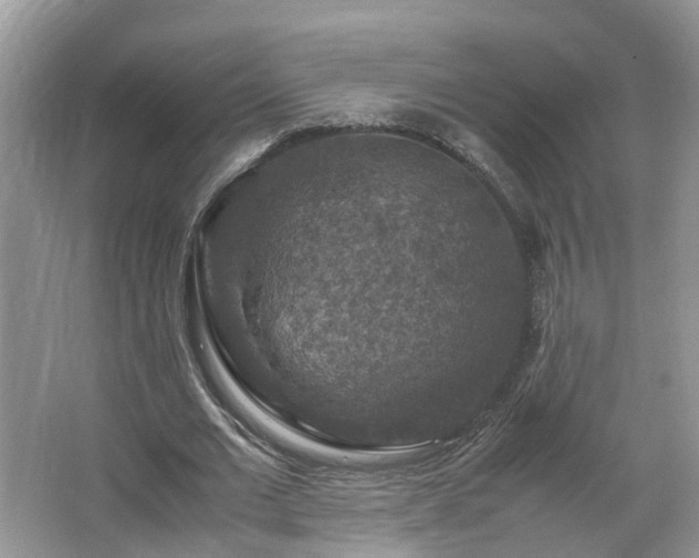 X0000067460677200604101133