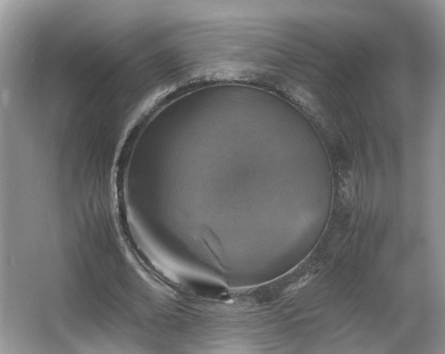 X0000067460678200604101133