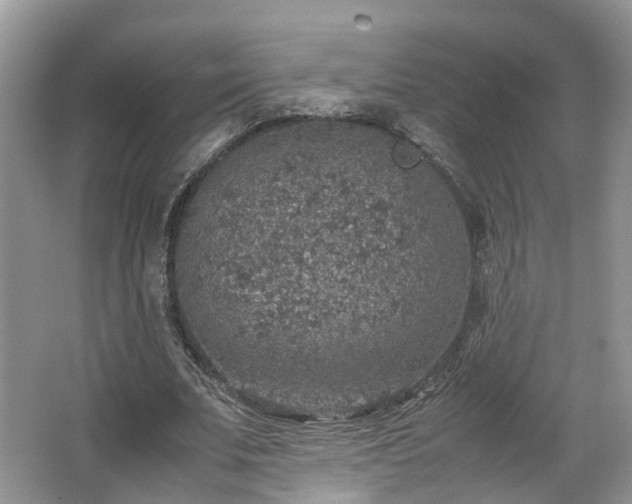 X0000067460679200604101133