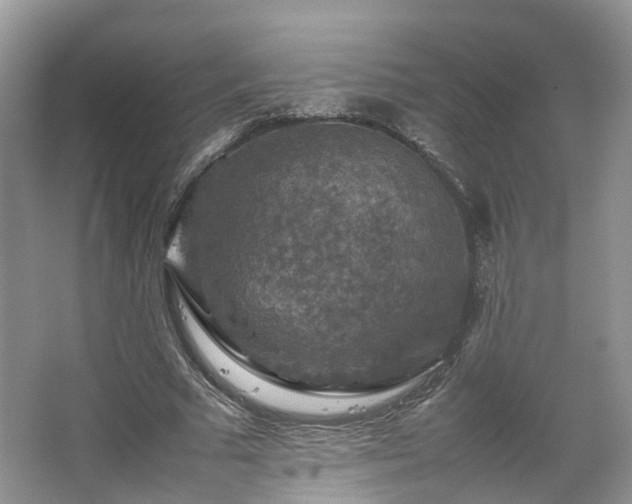 X0000067460681200604101133