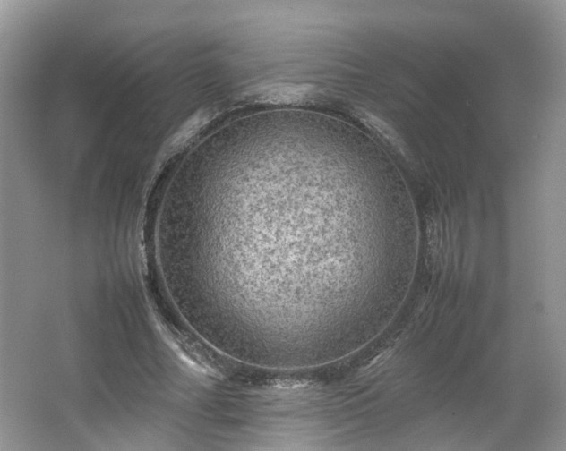 X0000067460682200604101133