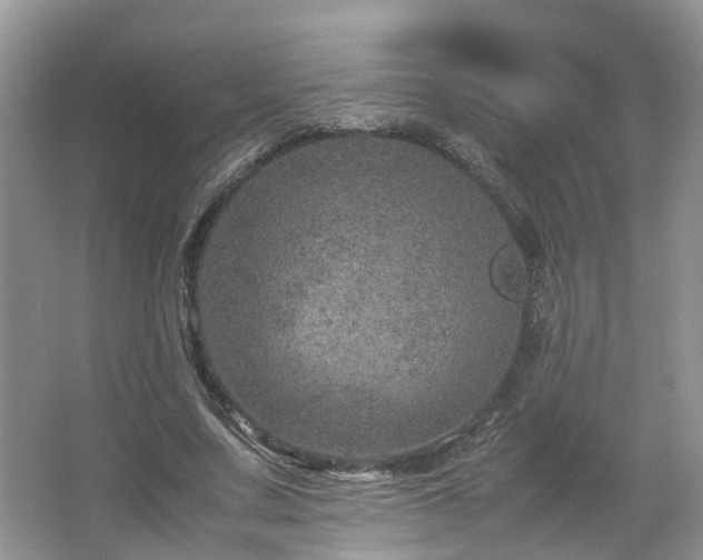 X0000067460683200604101133