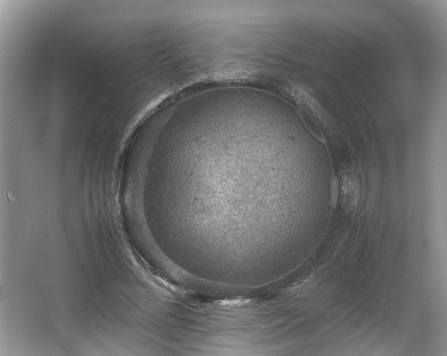 X0000067460684200604101133