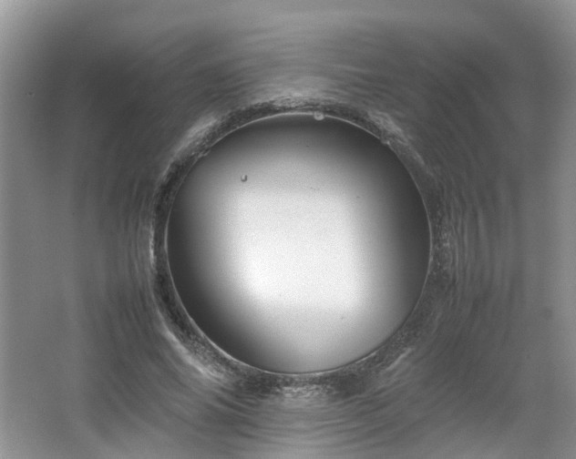 X0000067460686200604101133