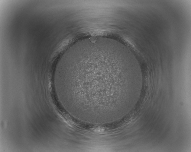 X0000067460687200604101133