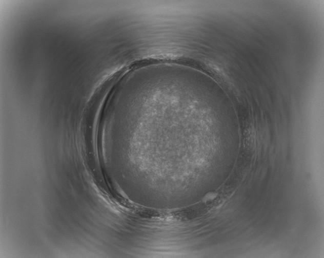 X0000067460688200604101133