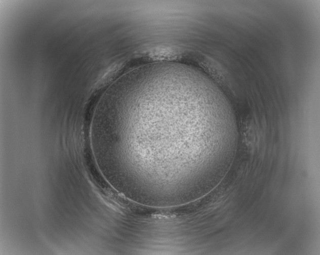 X0000067460690200604101133