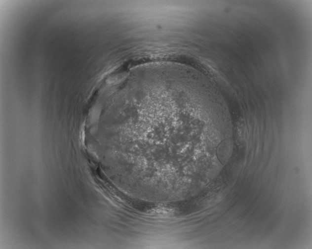 X0000067460691200604101133