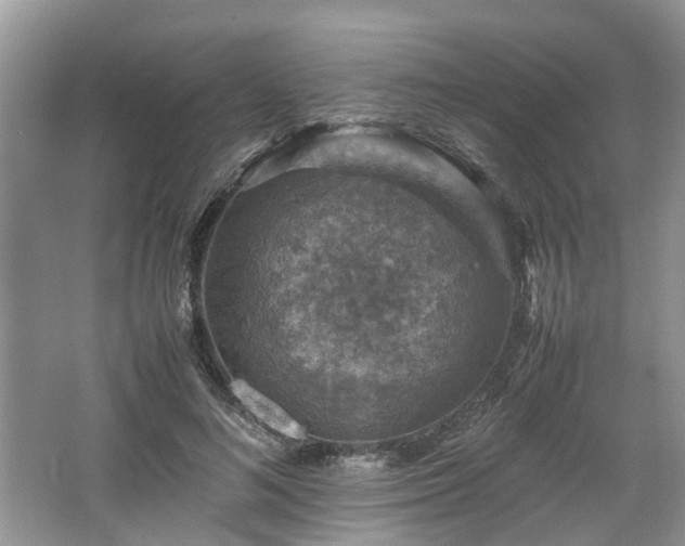 X0000067460692200604101133