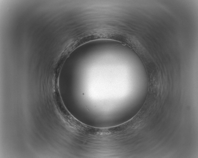 X0000067460694200604101133