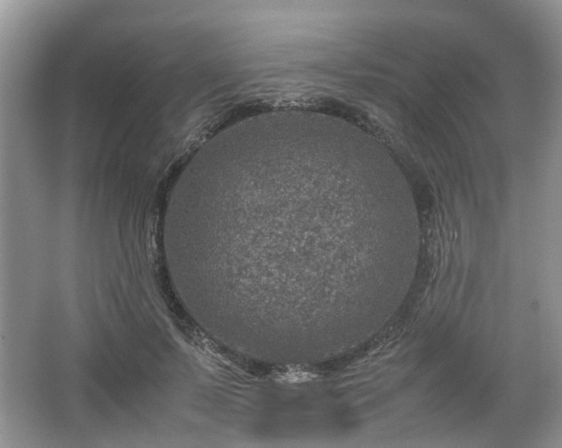 X0000067460695200604101133