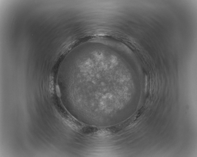 X0000067460696200604101133