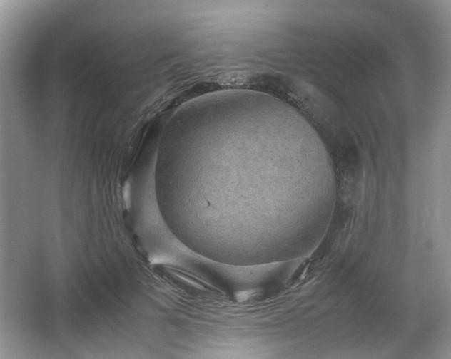 X0000067460697200604101133