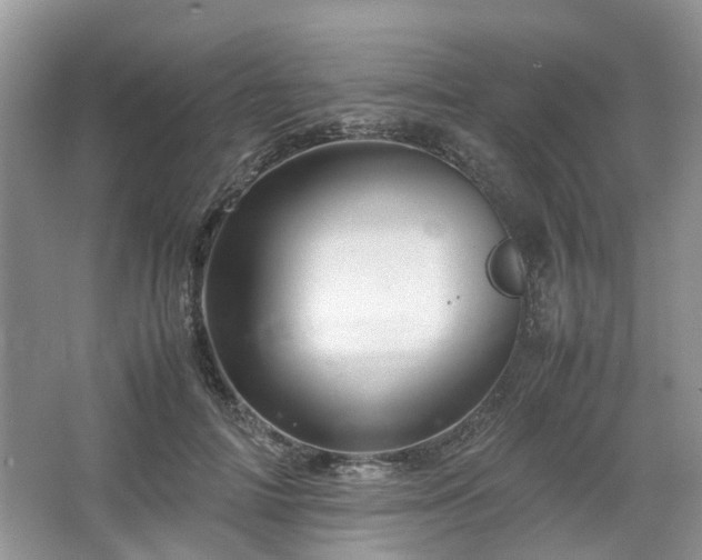 X0000067460698200604101133