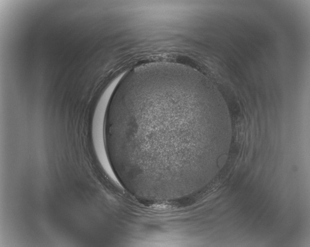 X0000067460699200604101133