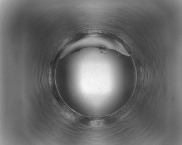 X0000067460700200604101133