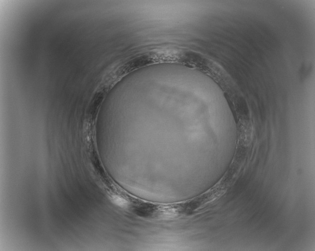 X0000067460701200604101133