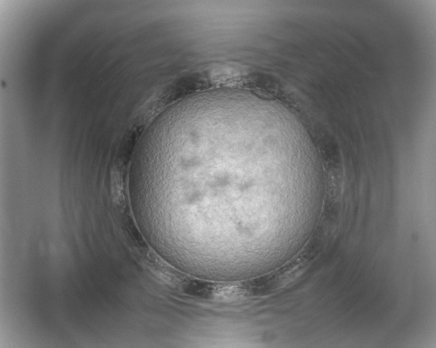 X0000067460705200604101133