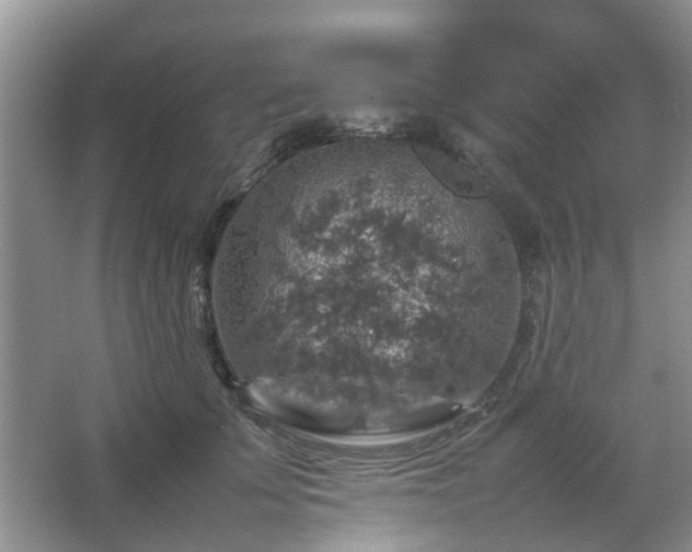 X0000067460707200604101133