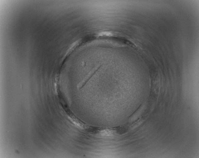 X0000067460708200604101133