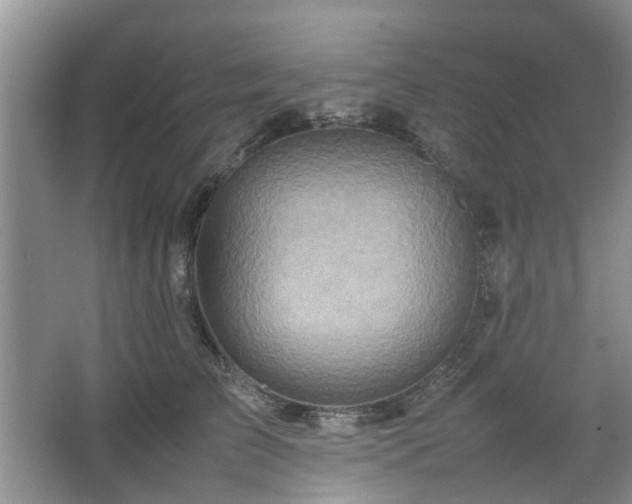 X0000067460709200604101133