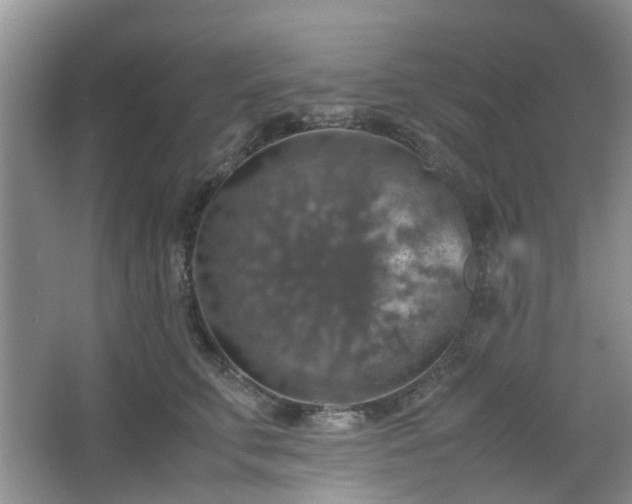 X0000067460711200604101133