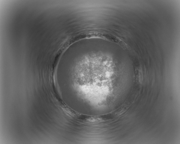 X0000067460712200604101133