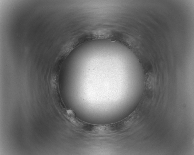 X0000067460713200604101133